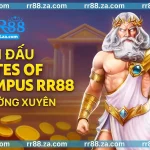 giải đấu gates of olympus rr88