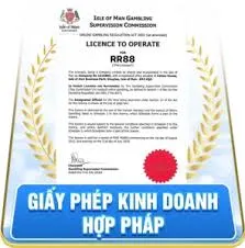 giay-phep-rr88